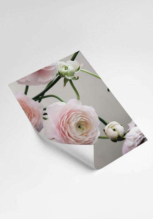 flower poster